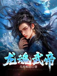 龙魂武帝 